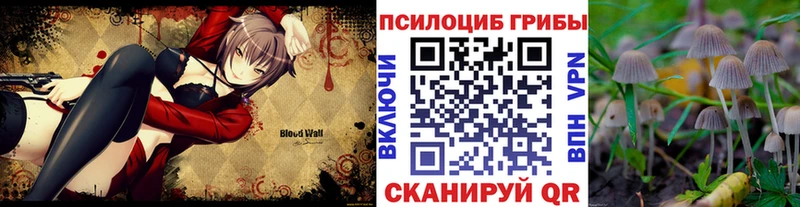 Галлюциногенные грибы мицелий Скопин