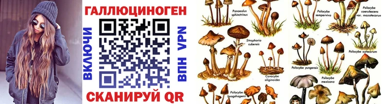 Галлюциногенные грибы Magic Shrooms  Купить закладки  Скопин 